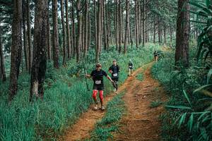 BIB: 
                            <button type="button" onclick="openModal(25654970)" class="btn btn-primary btn-sm float-right btn-popup" data-toggle="modal" data-target=".modal-high-quality">
                        <i class="fas fa-shopping-cart"></i> Add to Cart
                    </button>
                                            <button type="button" onclick="isThisMe(25654970, true)" class="btn btn-success btn-sm float-right btn-popup btn-isme hidden" data-toggle="tooltip" data-placement="bottom" title="นี่คือรูปของคุณใช่ไหม คลิกที่นี่เพื่อเอาเข้าอัลบั้ม">
                        <i class="fas fa-plus"></i> Add to album
                    </button>
                    <button type="button" onclick="isThisMe(25654970, false)" class="btn btn-warning btn-sm float-right btn-popup btn-isnotme hidden">
                        <i class="fas fa-ban"></i> Remove from album
                    </button>